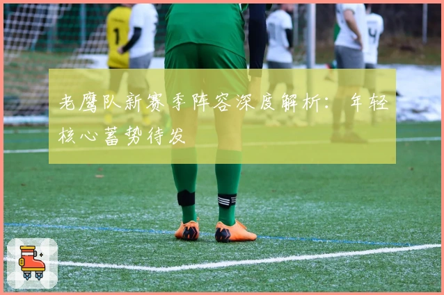 老鹰队新赛季阵容深度解析：年轻核心蓄势待发