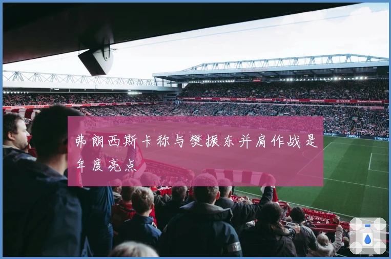 弗朗西斯卡称与樊振东并肩作战是年度亮点