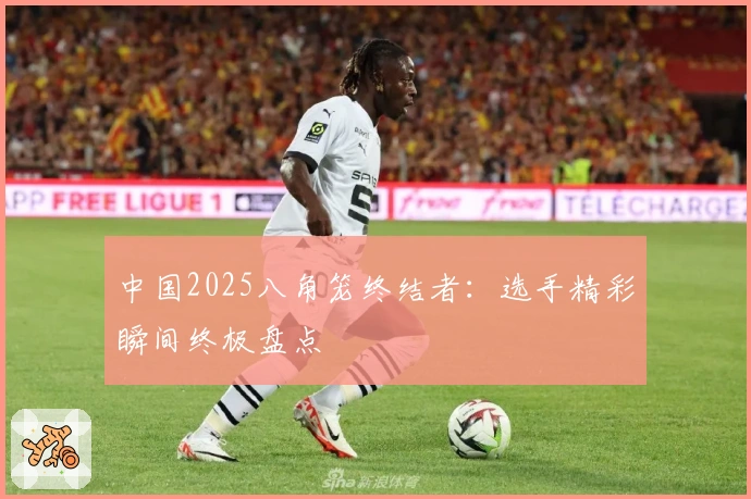 中国2025八角笼终结者：选手精彩瞬间终极盘点