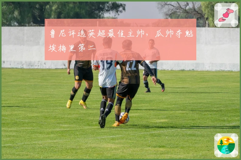 鲁尼评选英超最佳主帅，瓜帅夺魁埃梅里第二